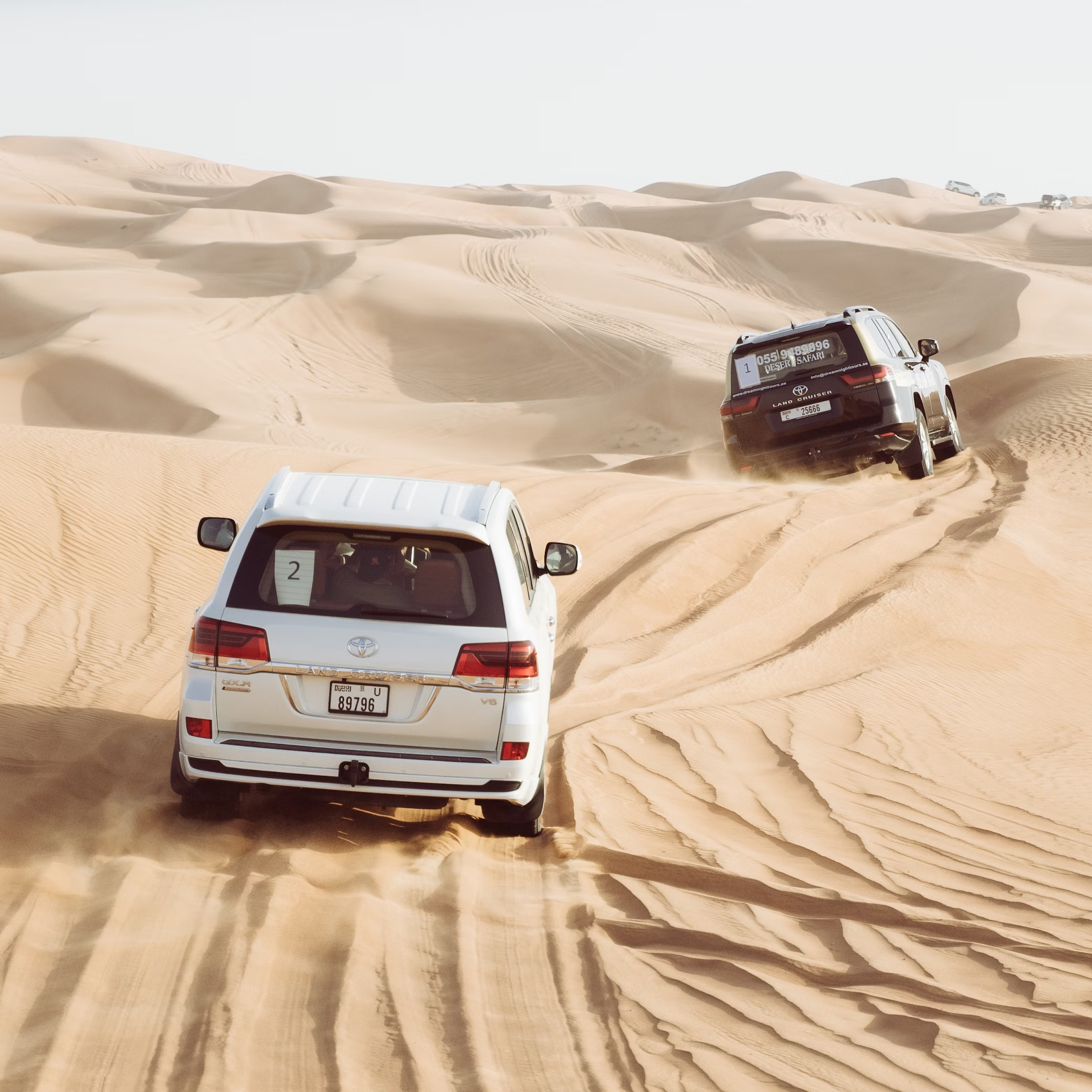 Desert Safari Dubai